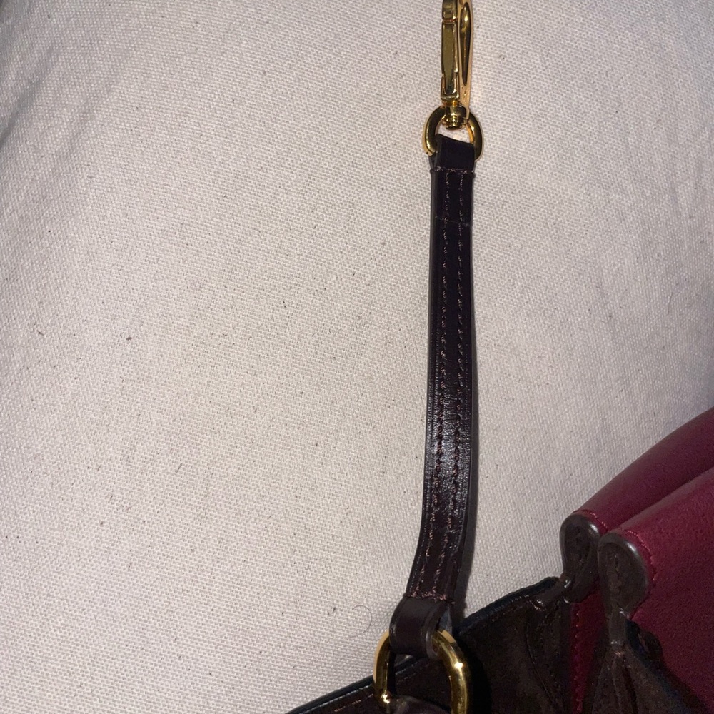 Louis Vuitton Burgundy and Brown Tote with Black-and-White Patterned Sides - Picture 8 of 15
